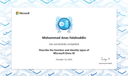 Describe the function and identity types of Microsoft Entra ID
